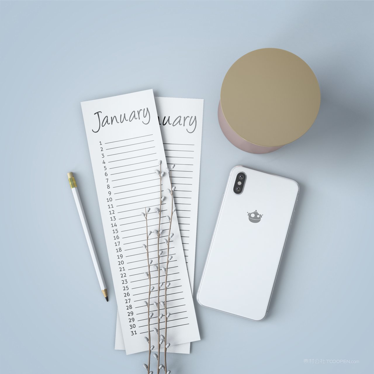 清新手机壳便签纸样机 (2)