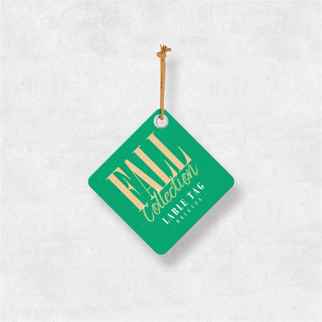 服装创意吊牌男士LOGO商标女装服饰PSD样机设计智能贴图