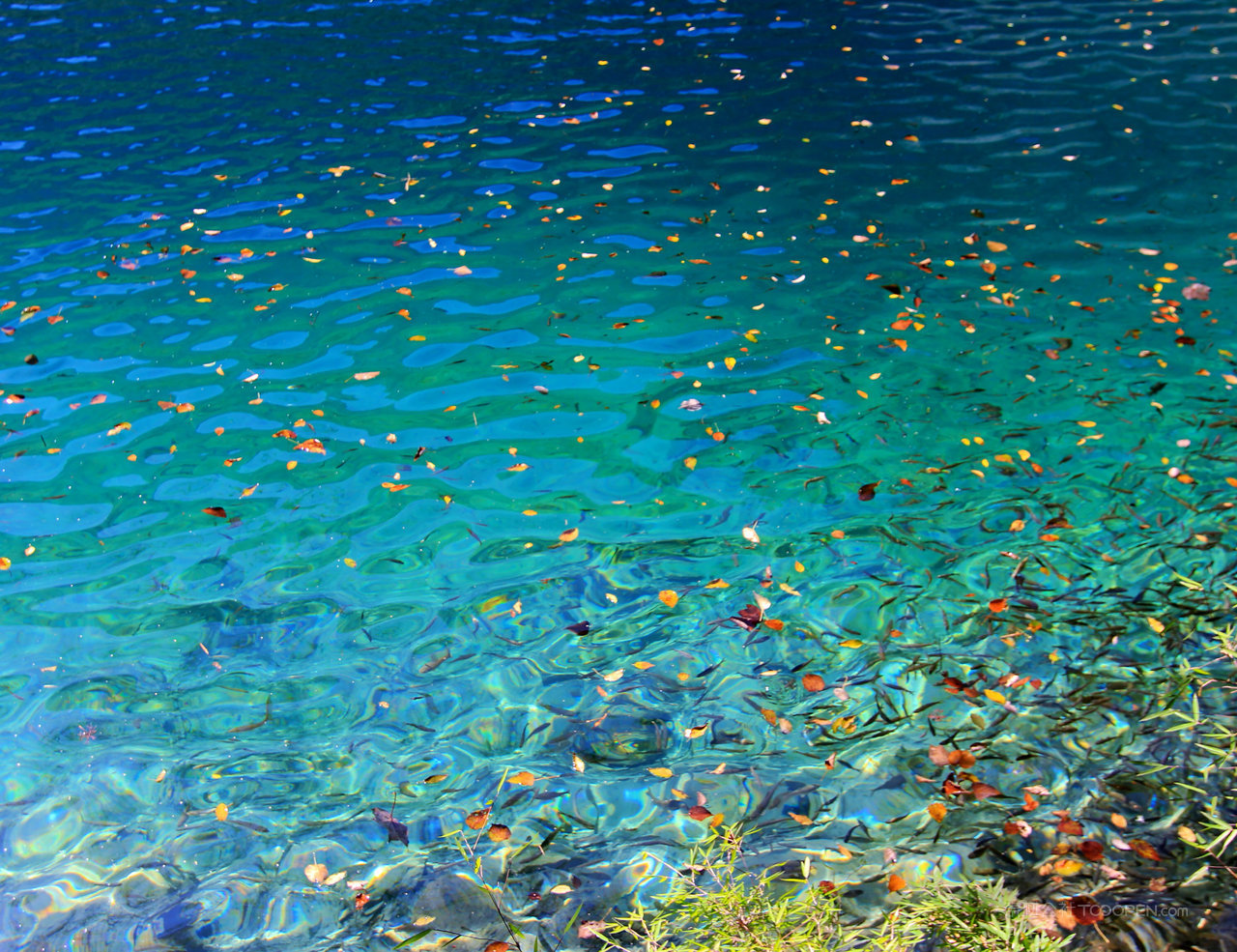 唯美四川九寨沟高清摄影图