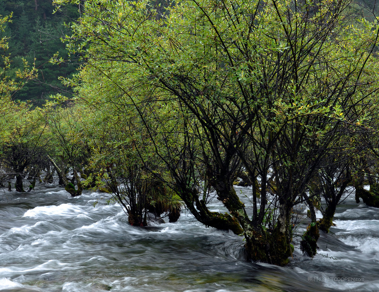 四川九寨沟摄影图片