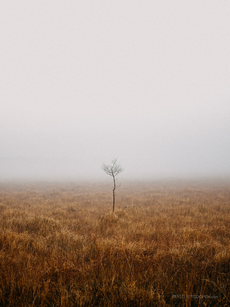 大雾稻草风景画图片