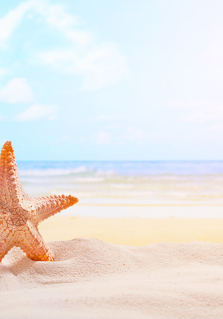 沙滩海星海景风景画摄影图片