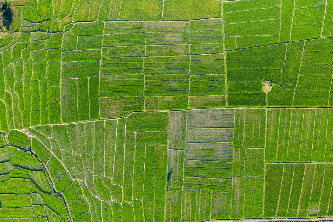 印尼benculuk种植园航拍 (2)