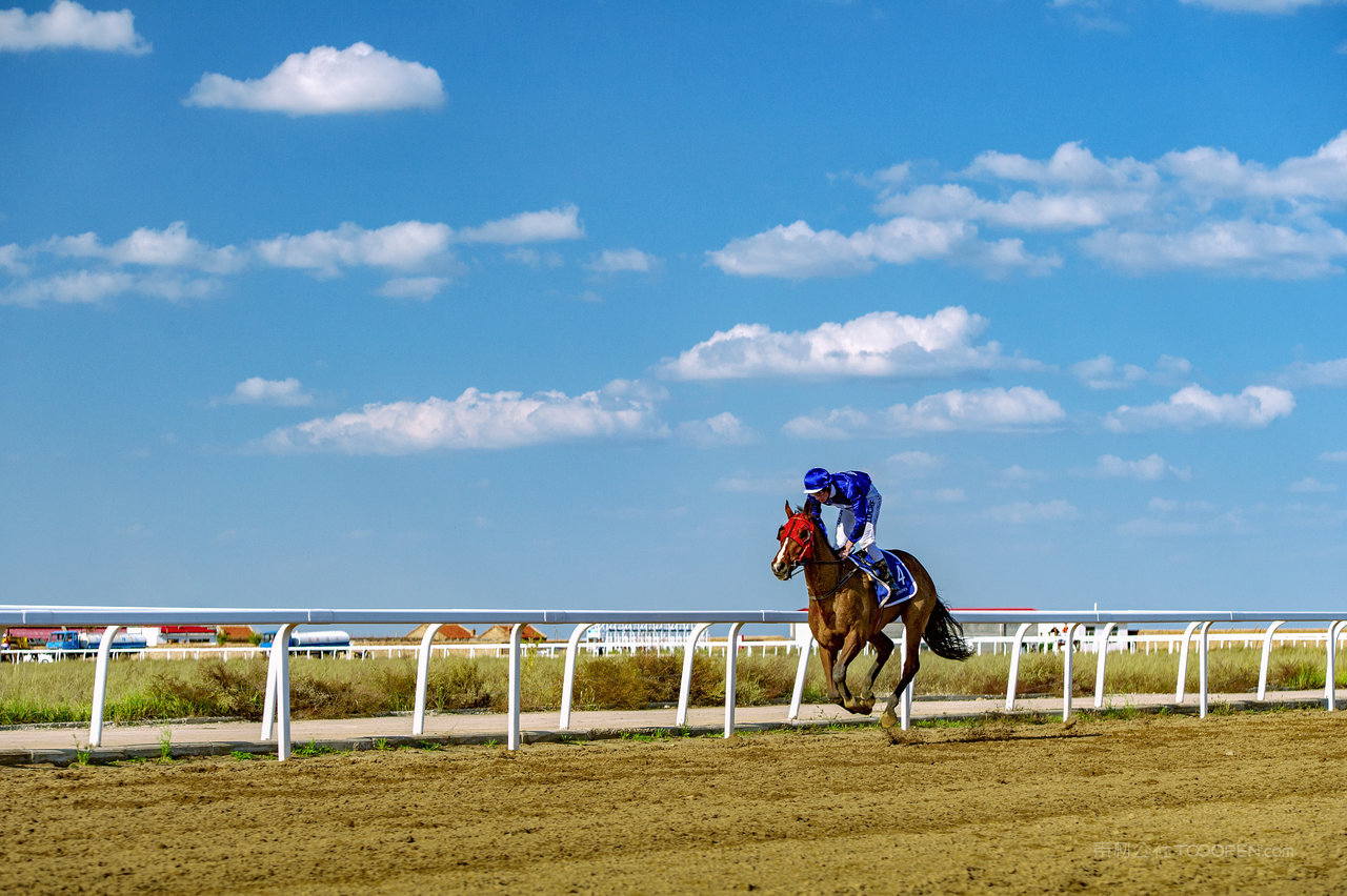 内蒙古国际速度赛马 (2)