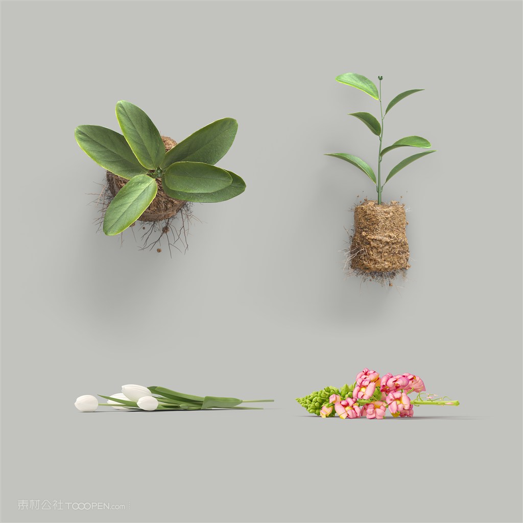 鲜花绿植盆栽摆设样机素材