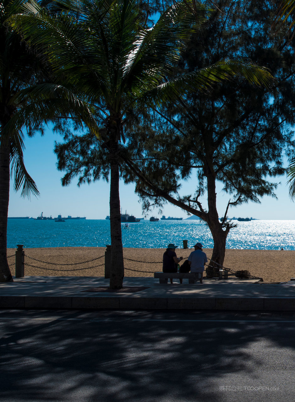 棕榈树-沙滩海边