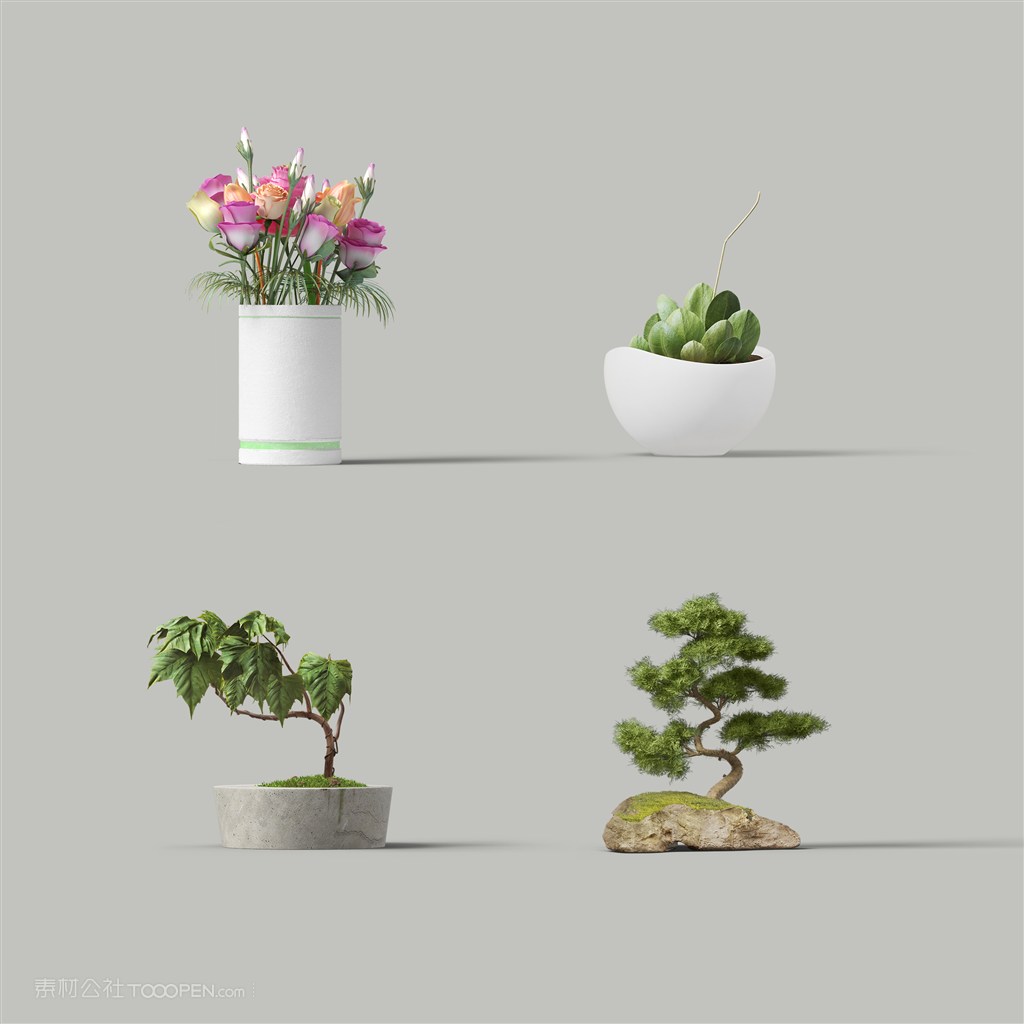 绿植鲜花盆栽样机素材