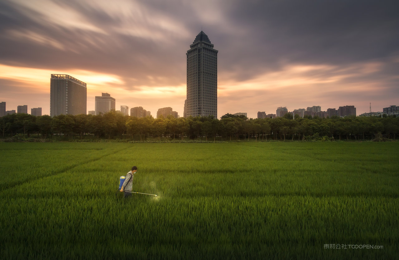 盐城农业和城市绿化
