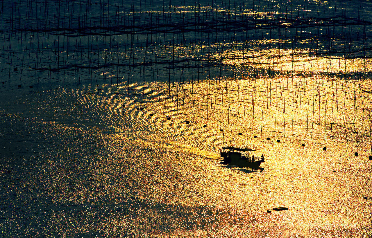 福建霞浦唯美意境的金色海面