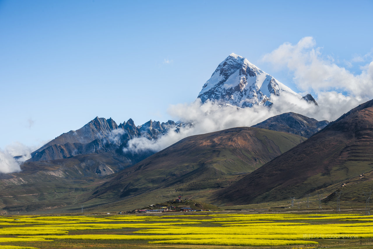 雪山下的油菜花风景画图片