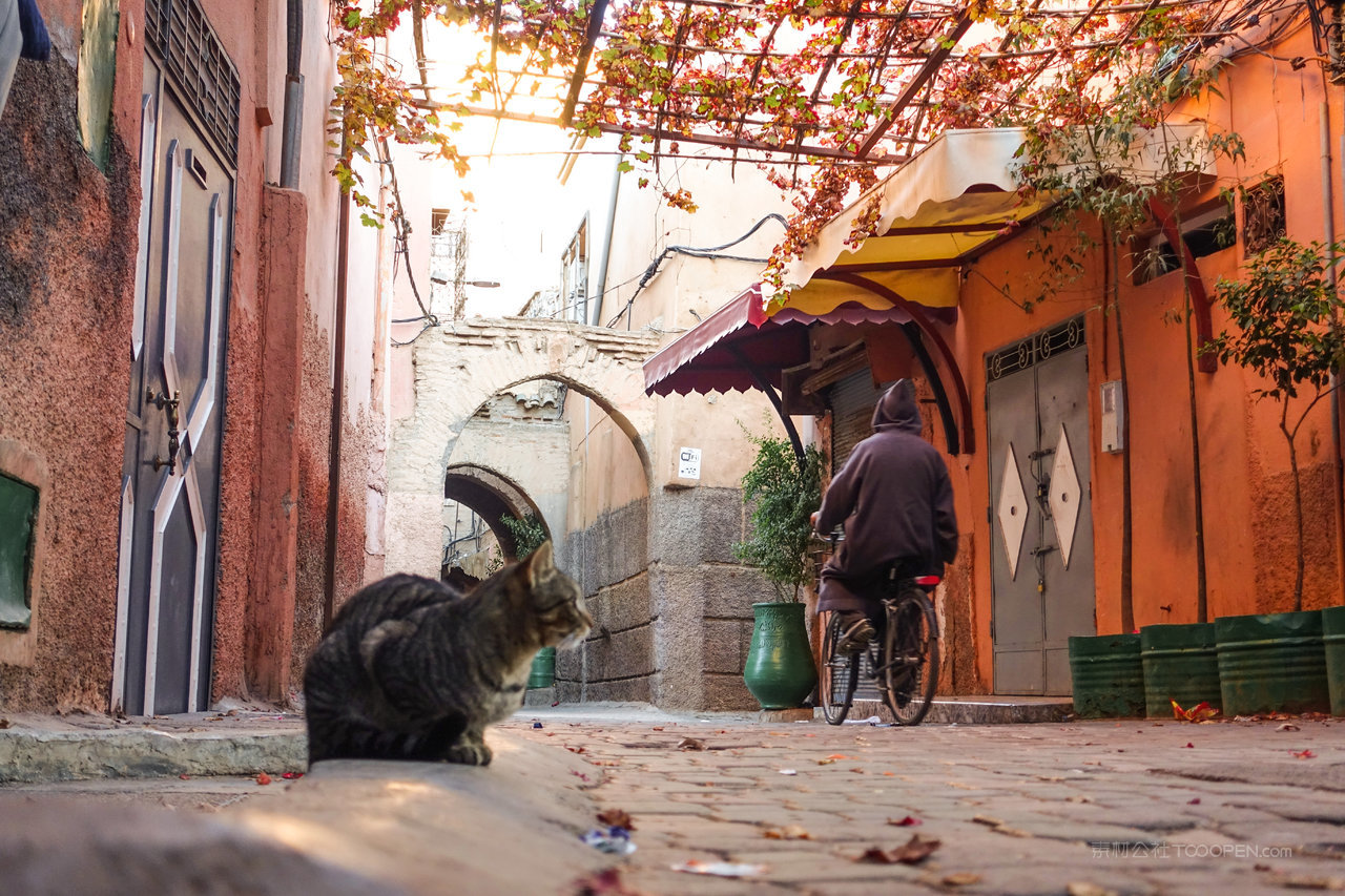 喀什建筑街道风景画图片
