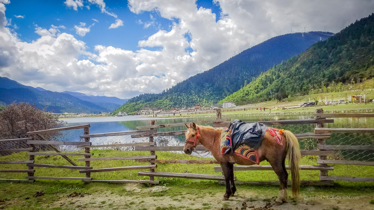 喀什骏马山水风景画图片
