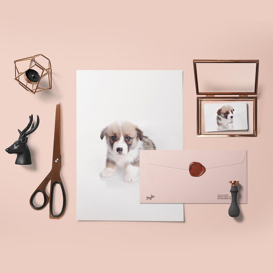 粉红宠物店企业vi应用部分样机 (12)