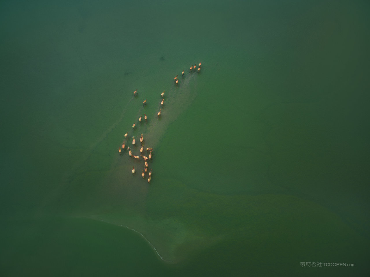 黄海湿地生态地貌