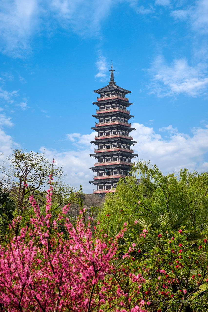 扬州市瘦西湖桃花林