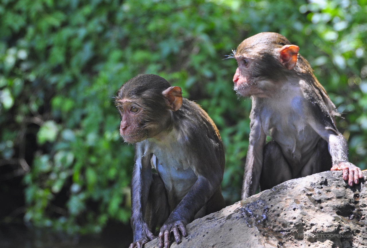 海南岛风景画图片 (2)