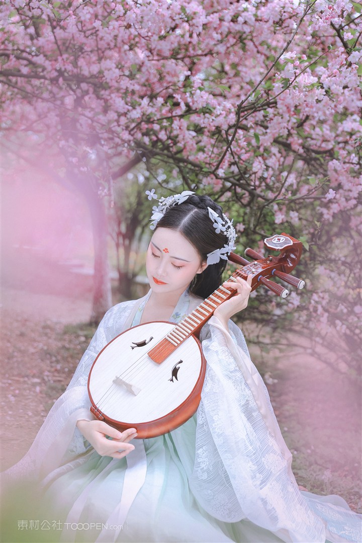 拿着琵琶的古装美女图片
