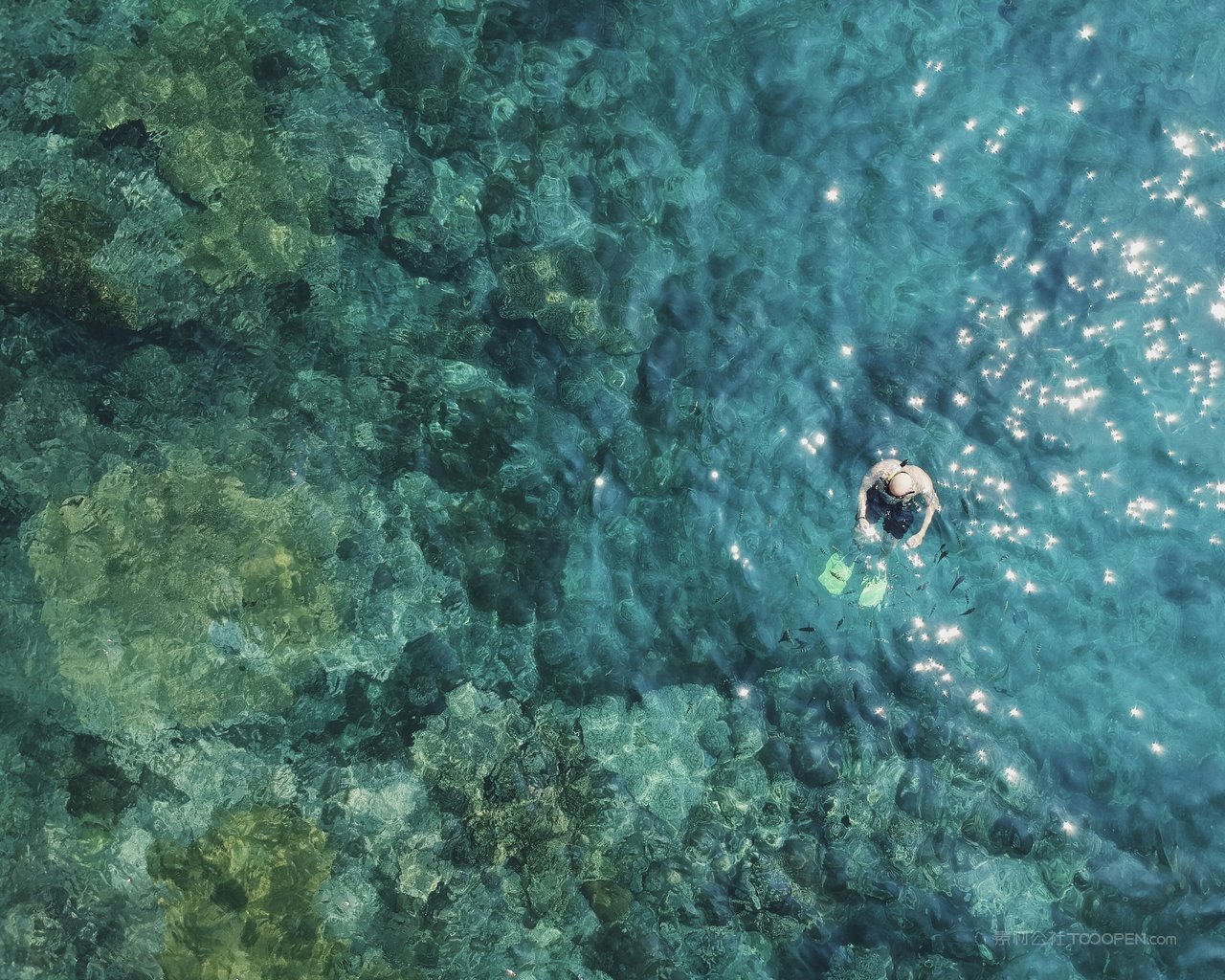 海底海洋摄影图片