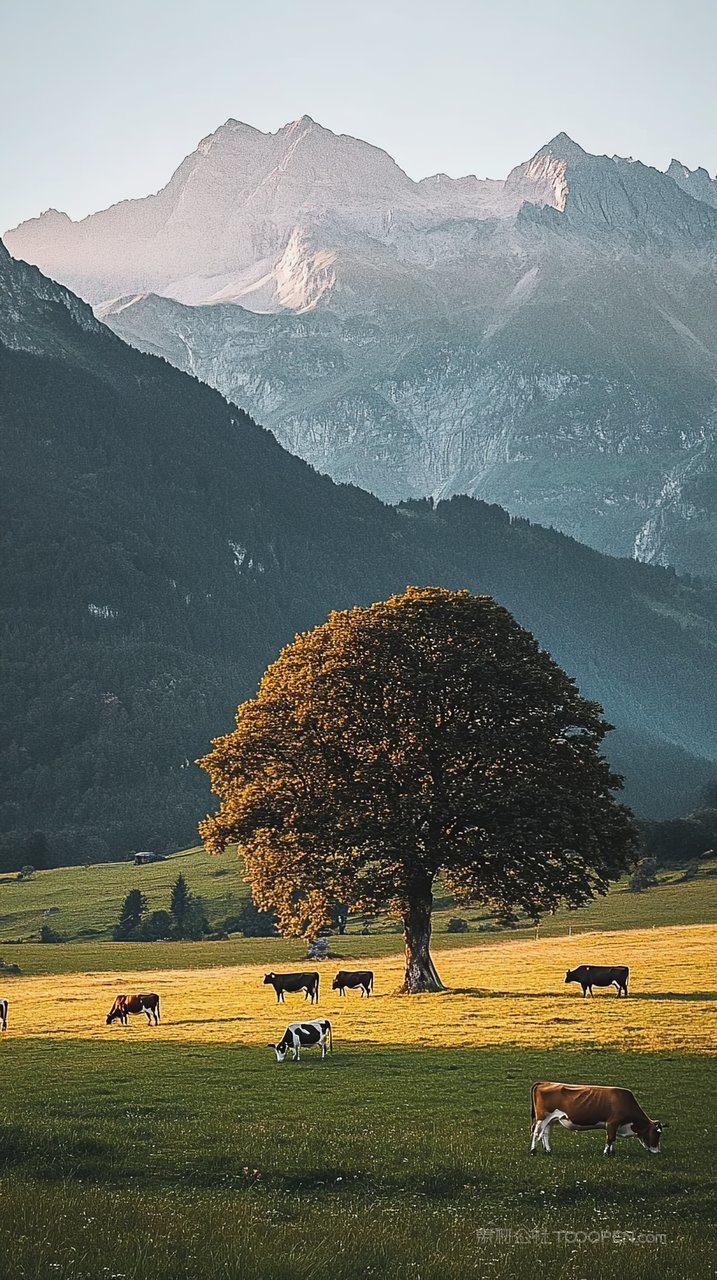 风景山峰景观意境群山自然天空唯美