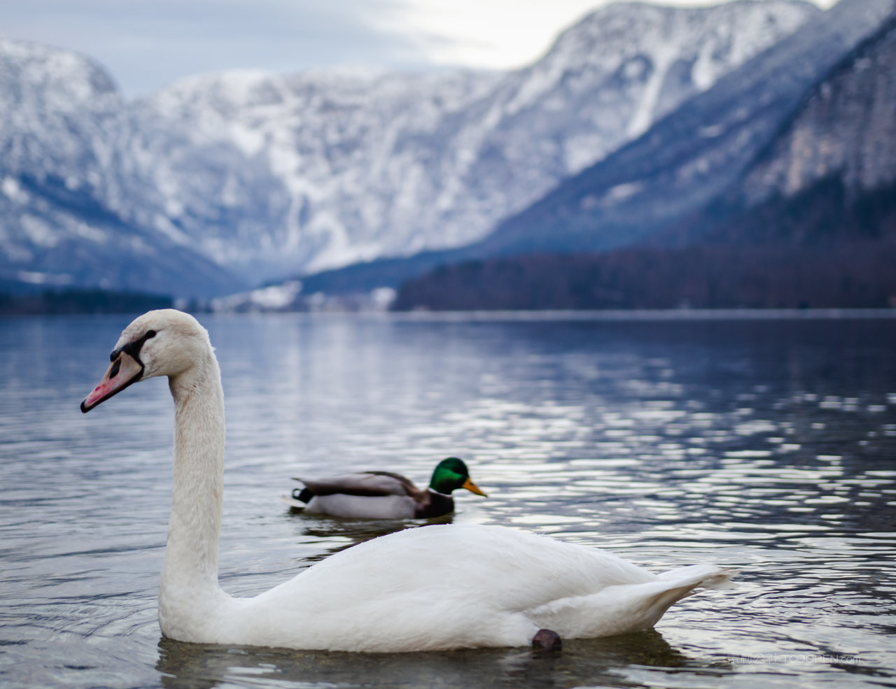 高清雪山山脉风景画