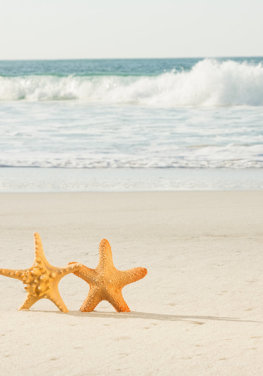 沙滩海星海景风景画图片素材