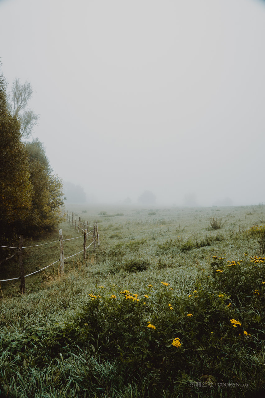 草地山脉迷雾风景画图片