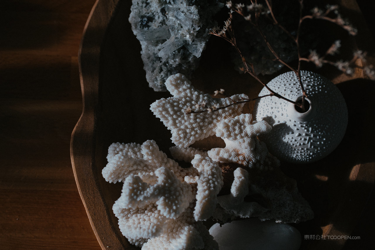 高清珊瑚风景画图片