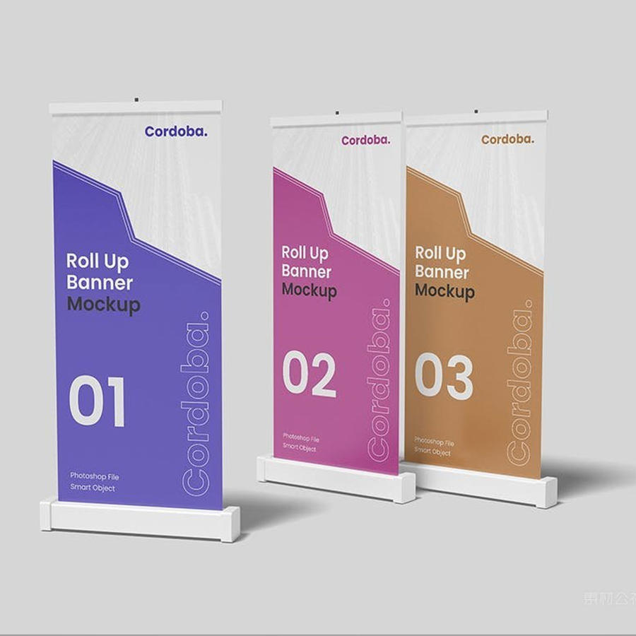 X展架易拉宝样机