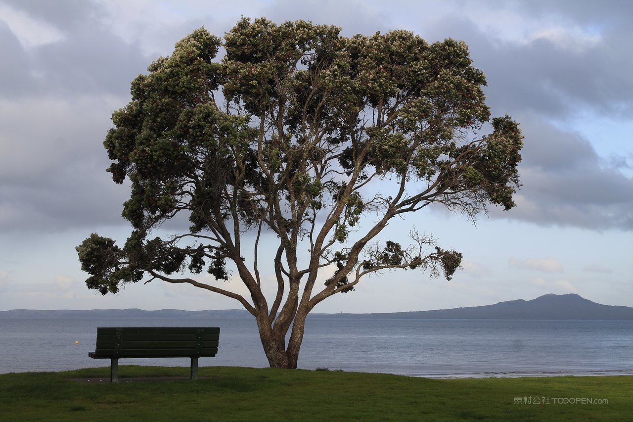 新西兰风光美景山水画