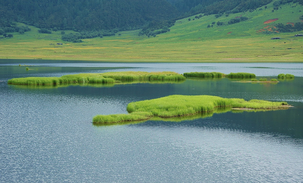 香格里拉普达措