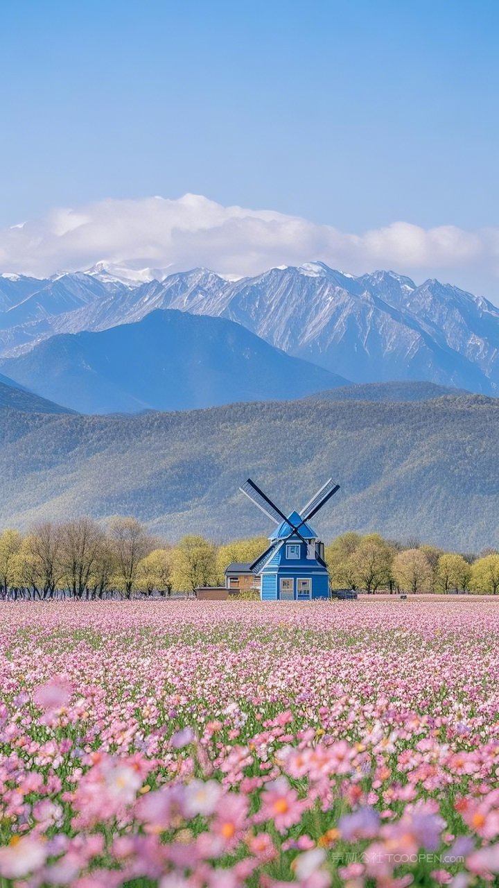 风光田园唯美风景春天春节花海景色