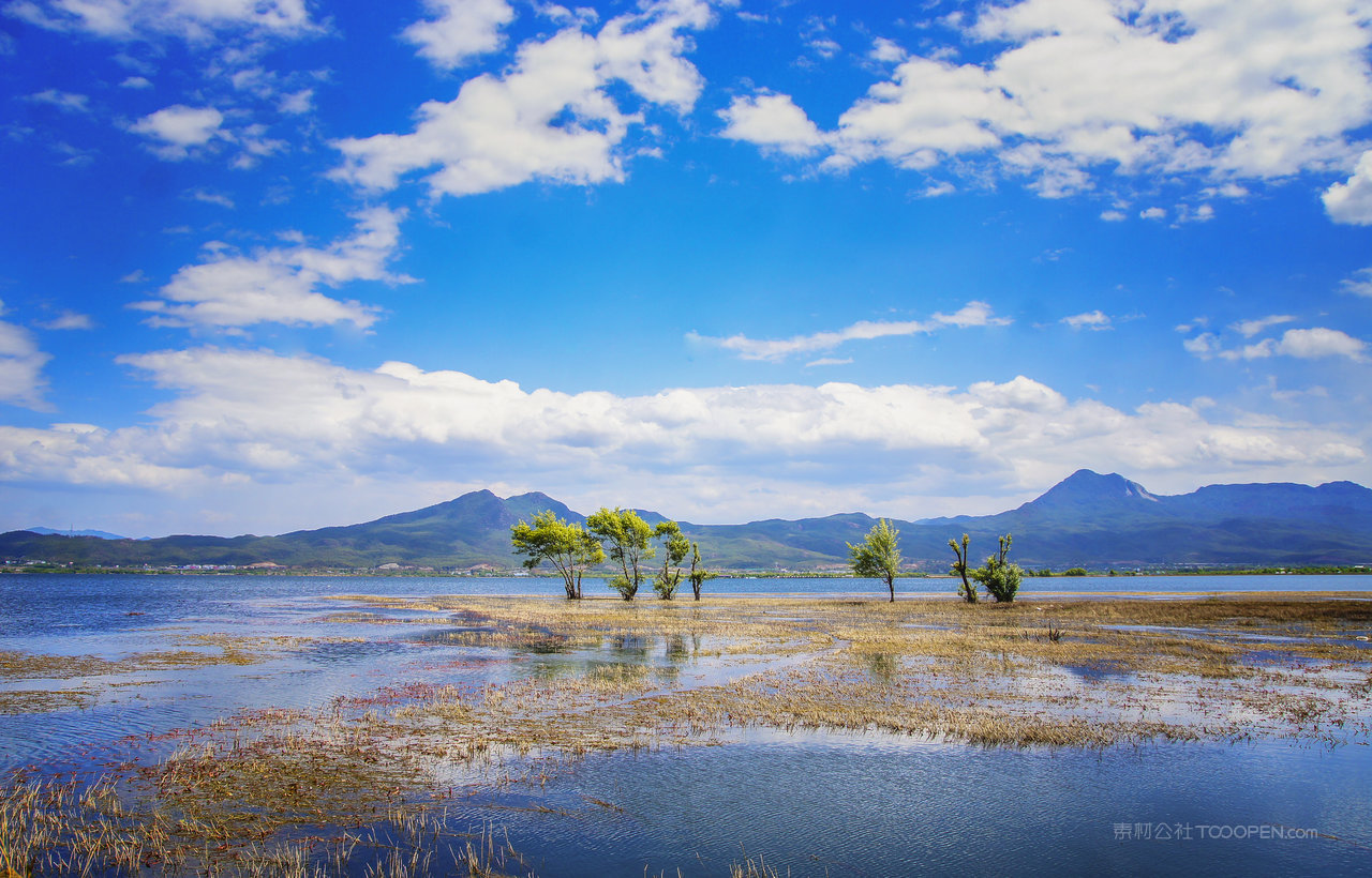 丽江拉市海湿地