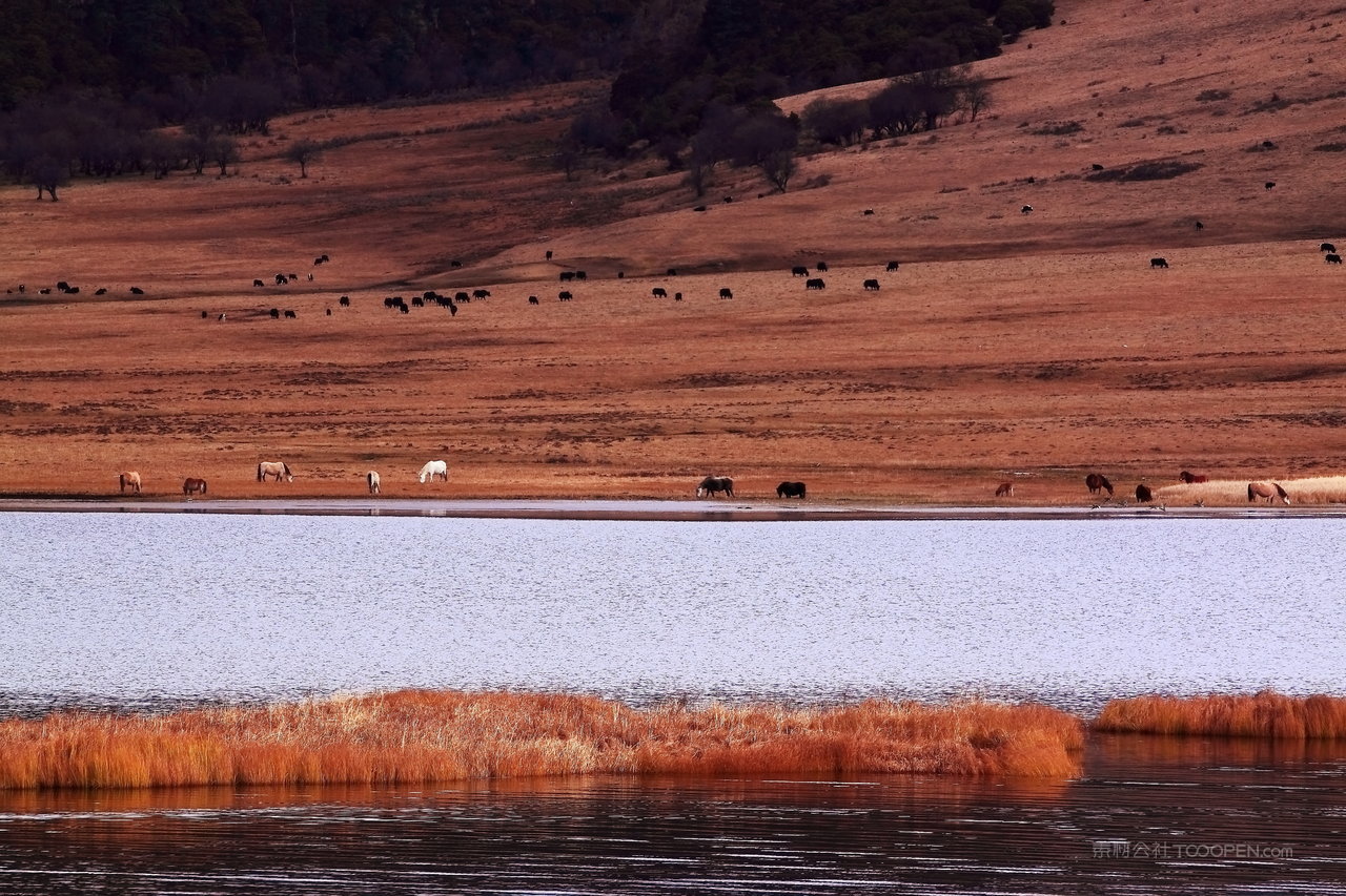 香格里拉普达措