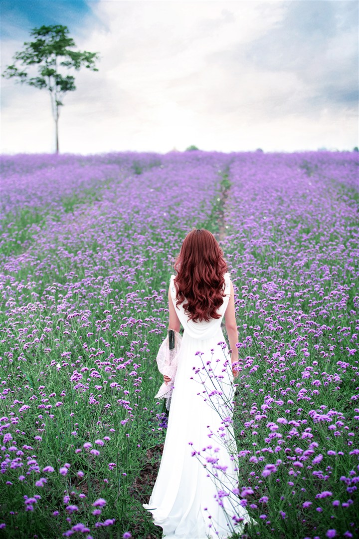 浪漫薰衣草甜蜜恋人婚纱高清图