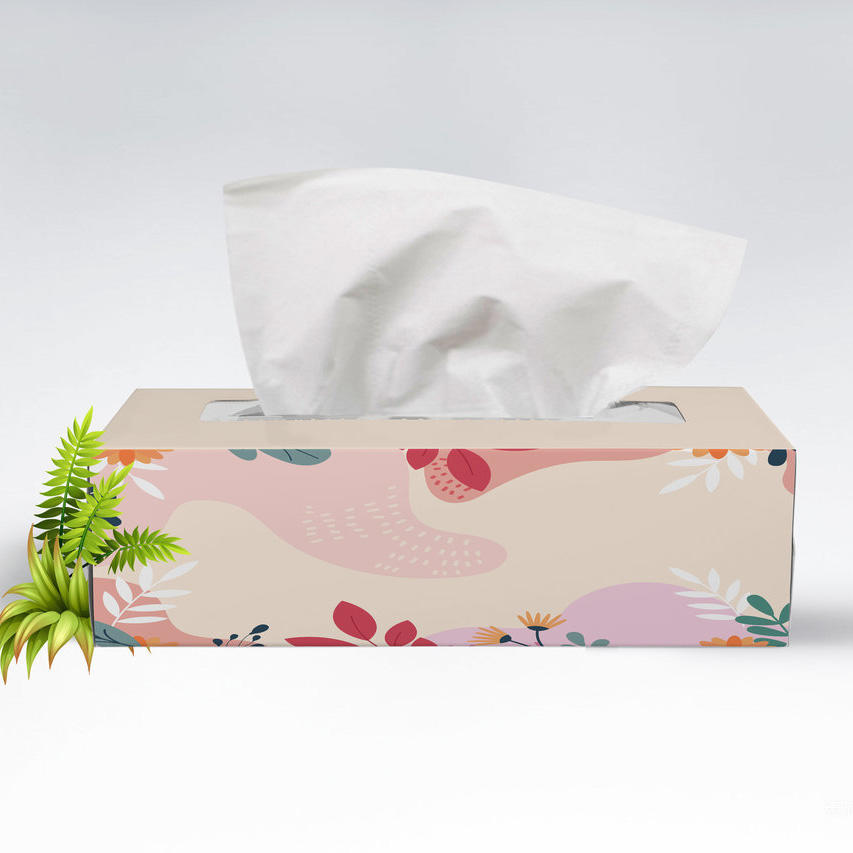 时尚大气纸巾盒抽纸盒样机