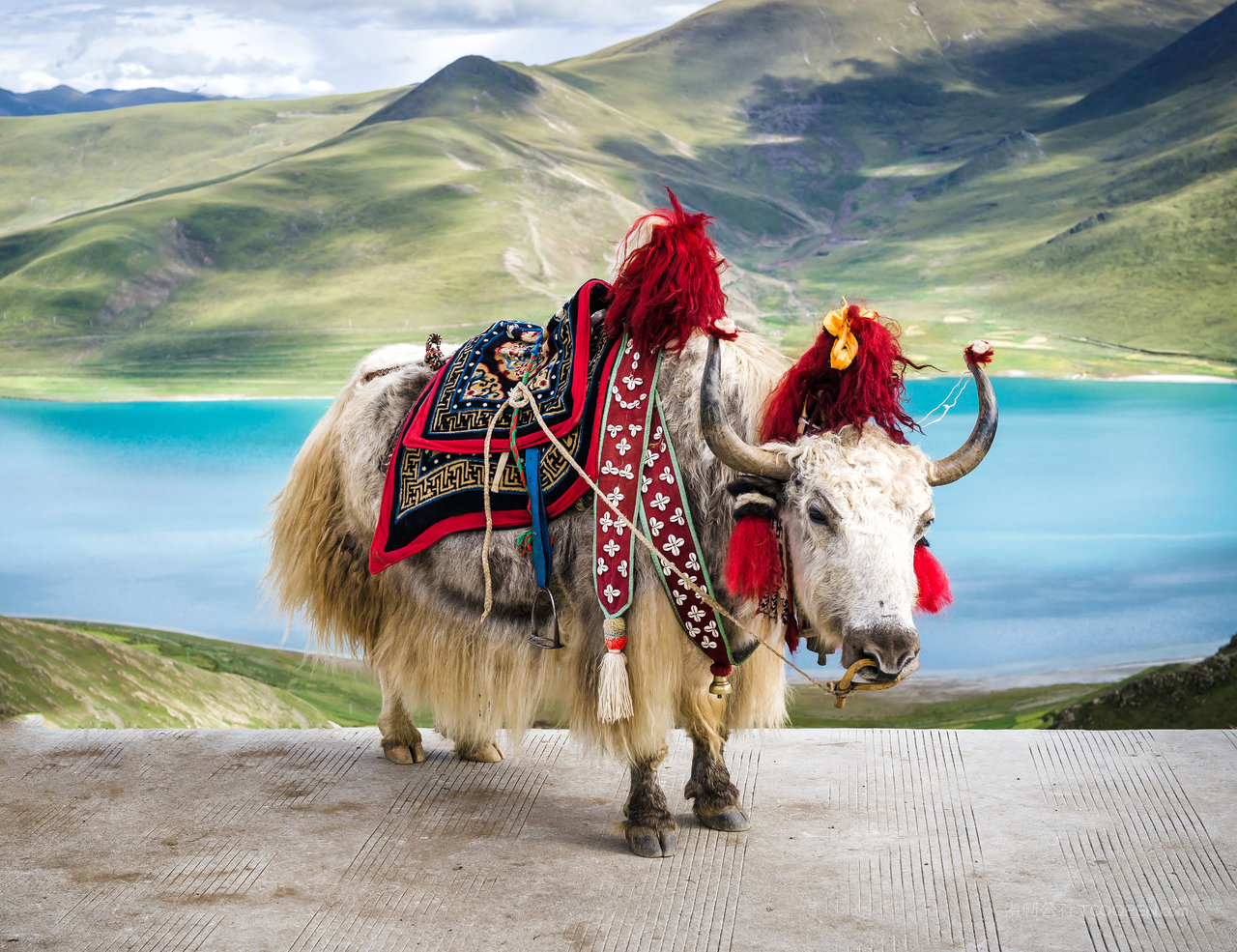 西藏风光山水湖泊图片