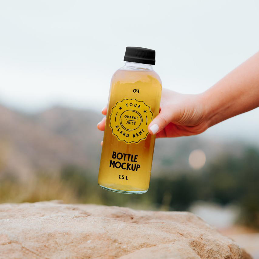 果汁饮料饼包装样机3