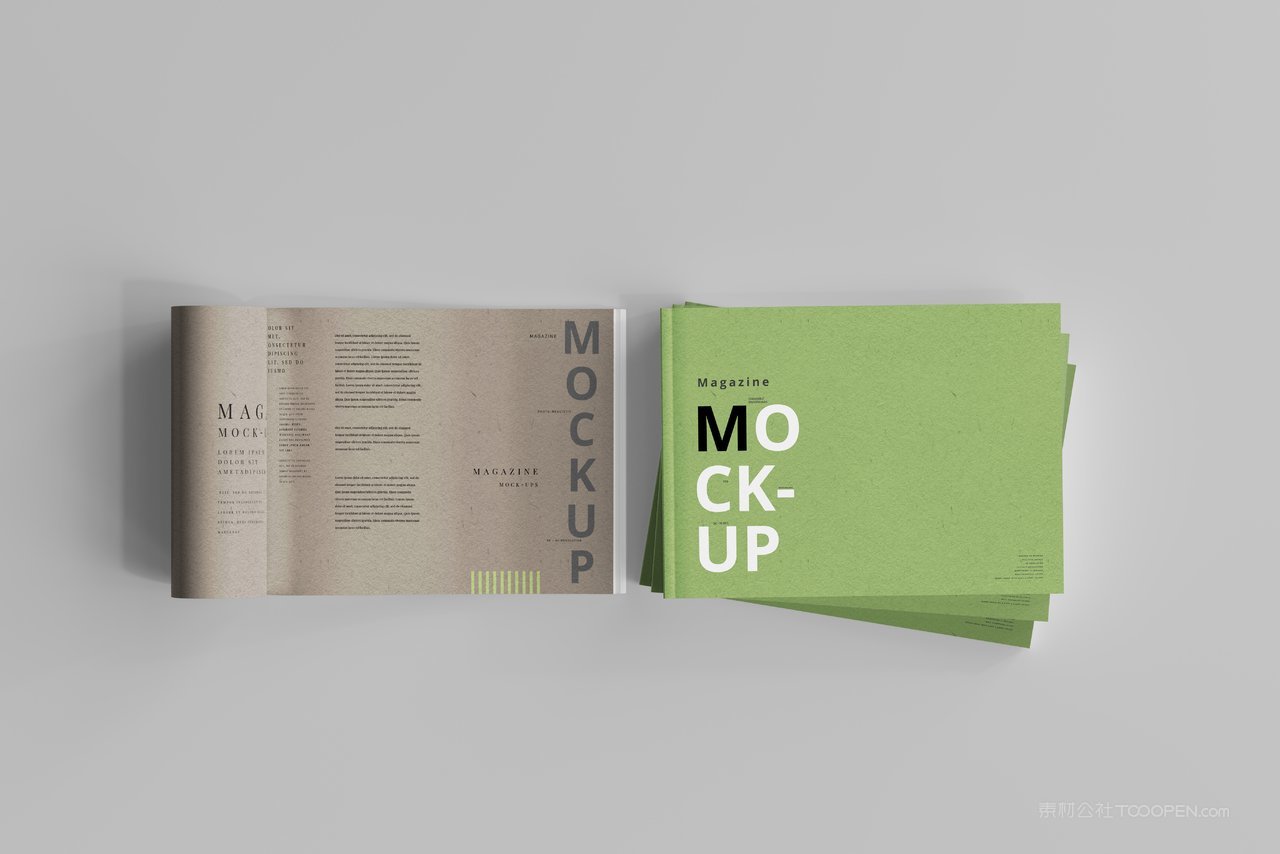 【1256期】杂志横板a4胶装书籍画册样机 (1)