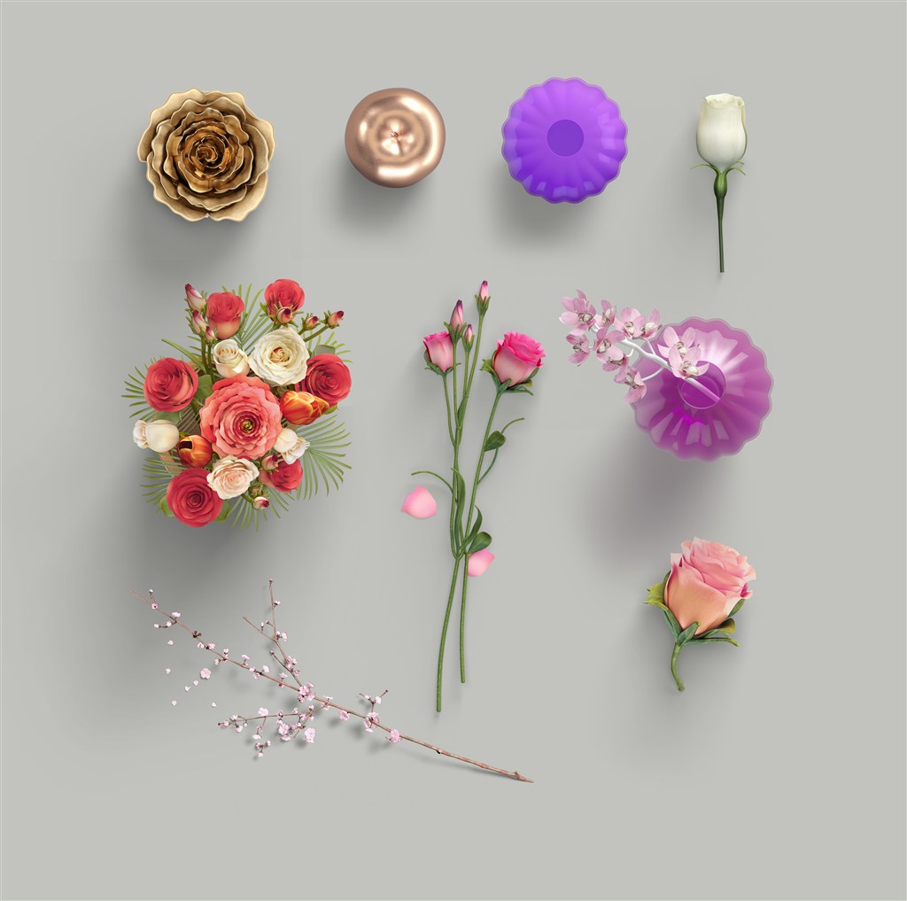 超级漂亮的各种花朵