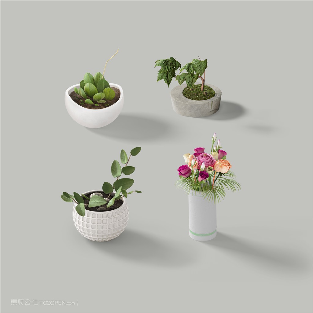 鲜花绿植盆栽样机素材