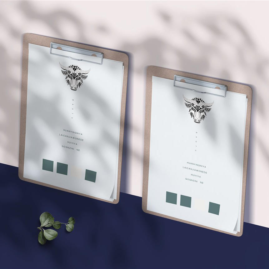 光影下的经典文件夹纸张样机