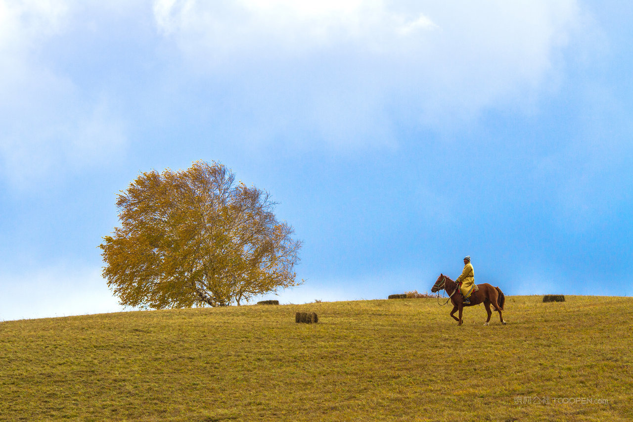 内蒙古自治区乌兰布统景区秋色 (3)