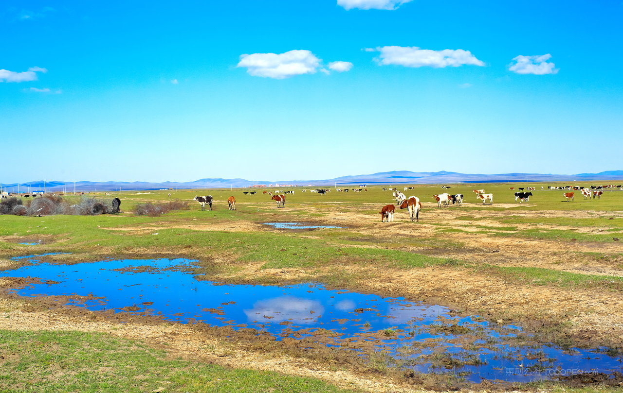 内蒙古呼伦贝尔草原