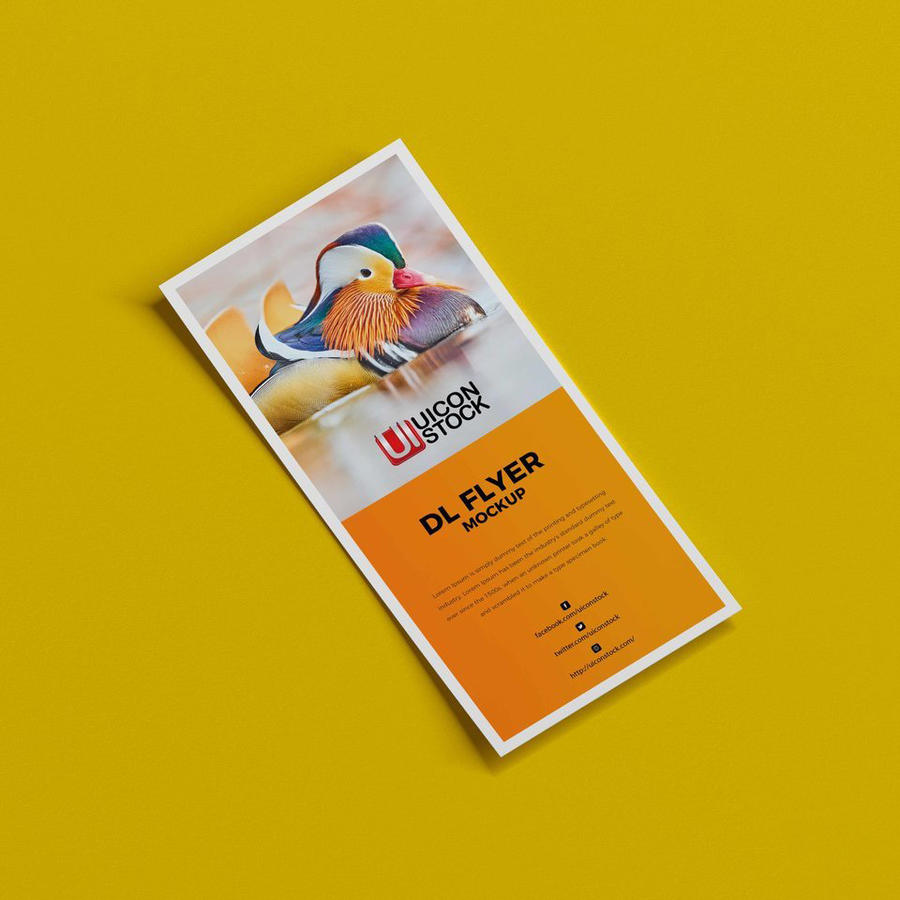 dl传单样机模板