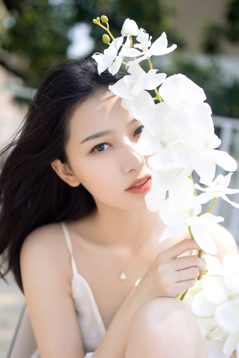 白璐抱着白色鲜花清纯美女壁纸图片