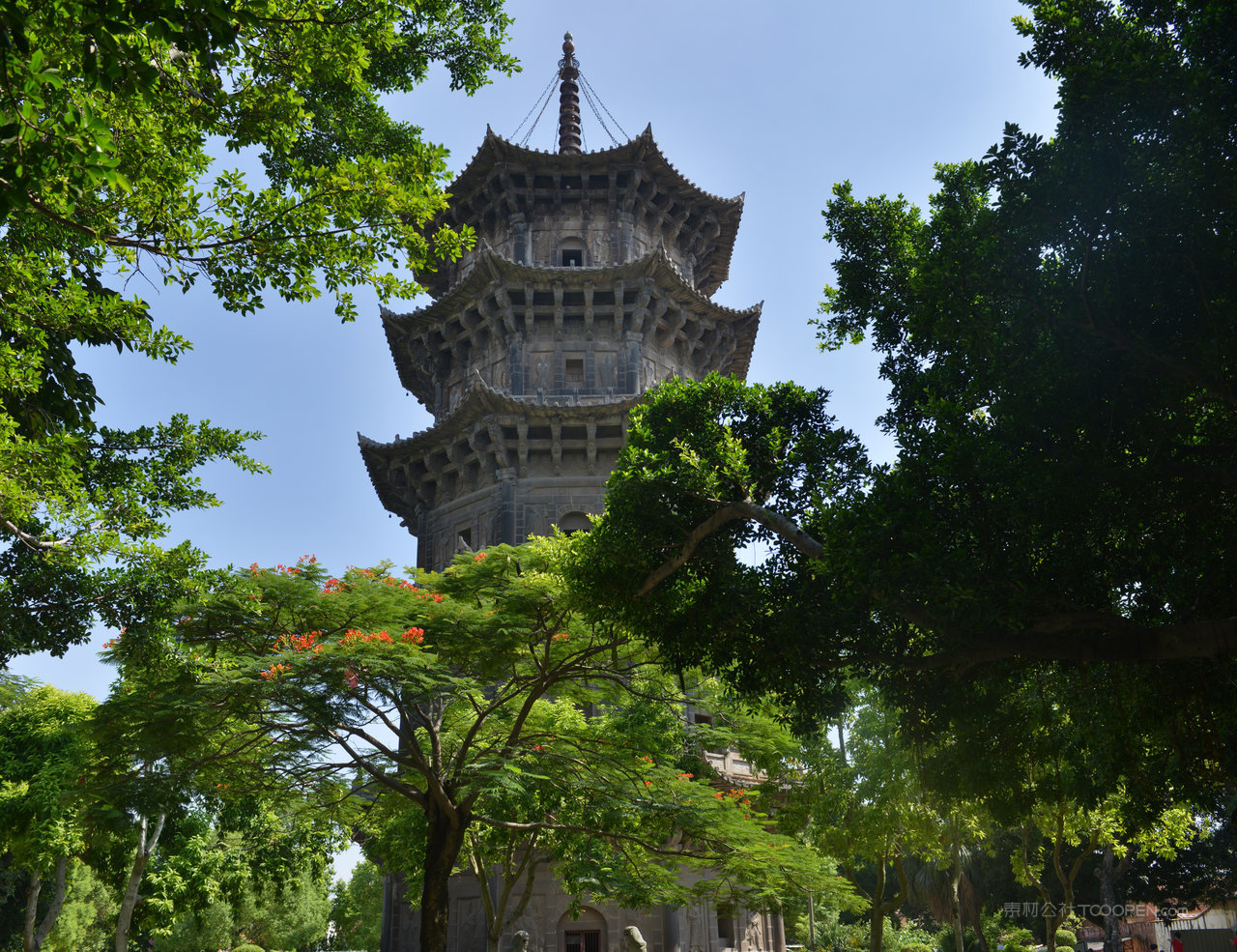 泉州开元寺风景画图片