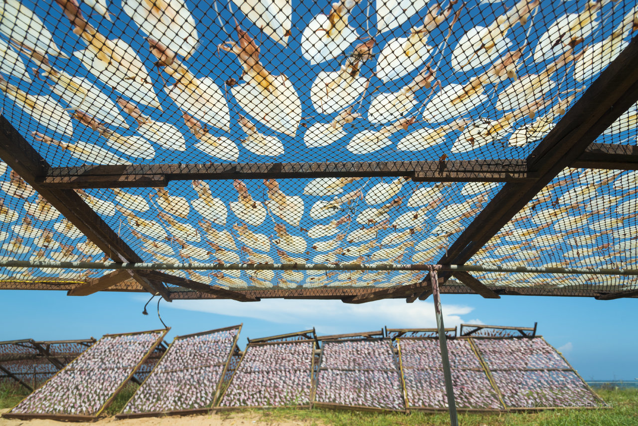 鱿鱼挂泰国的个小村庄里晾干
