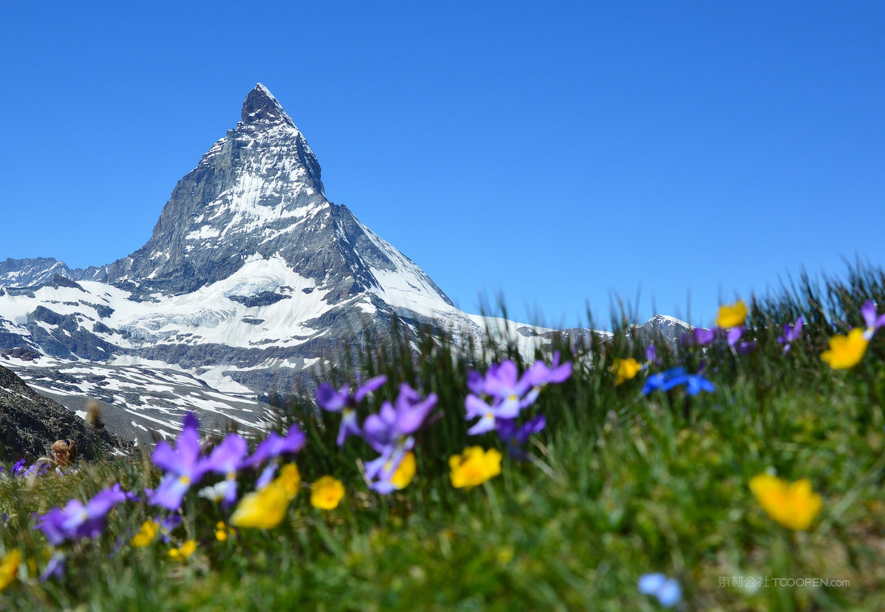 唯美瑞士山脉山林图片