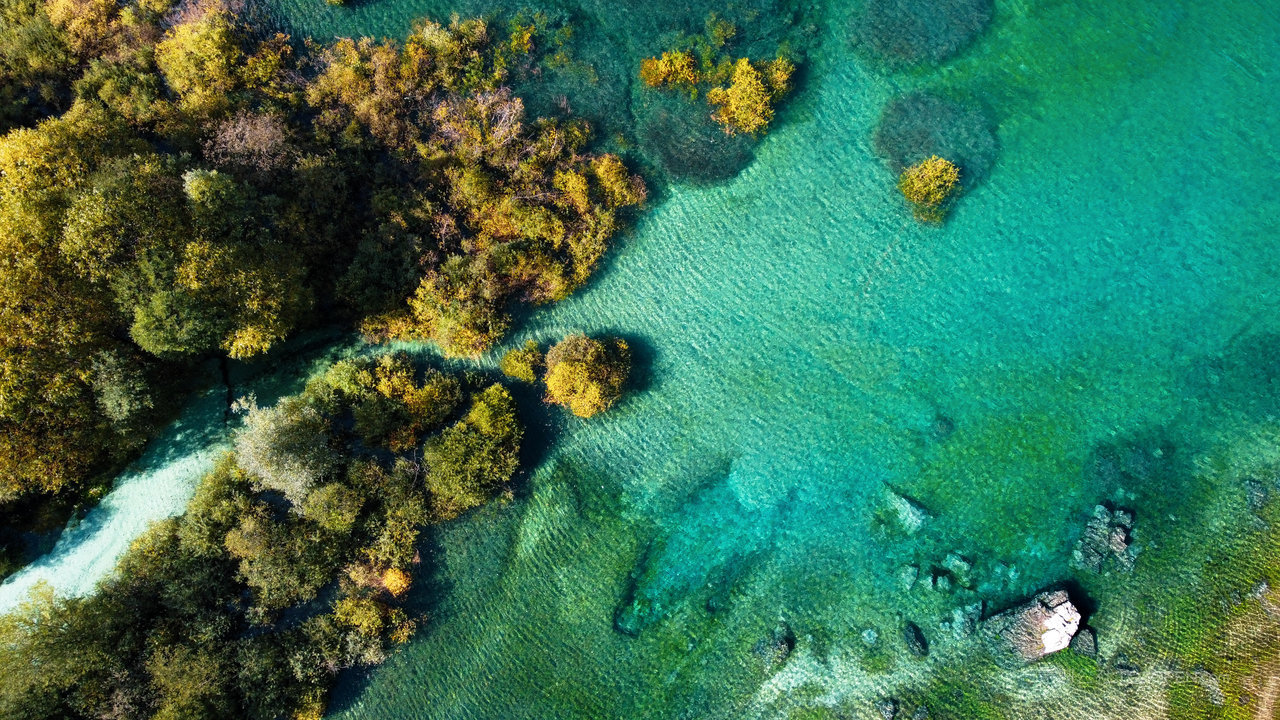 海底珊瑚游鱼高清摄影风景画
