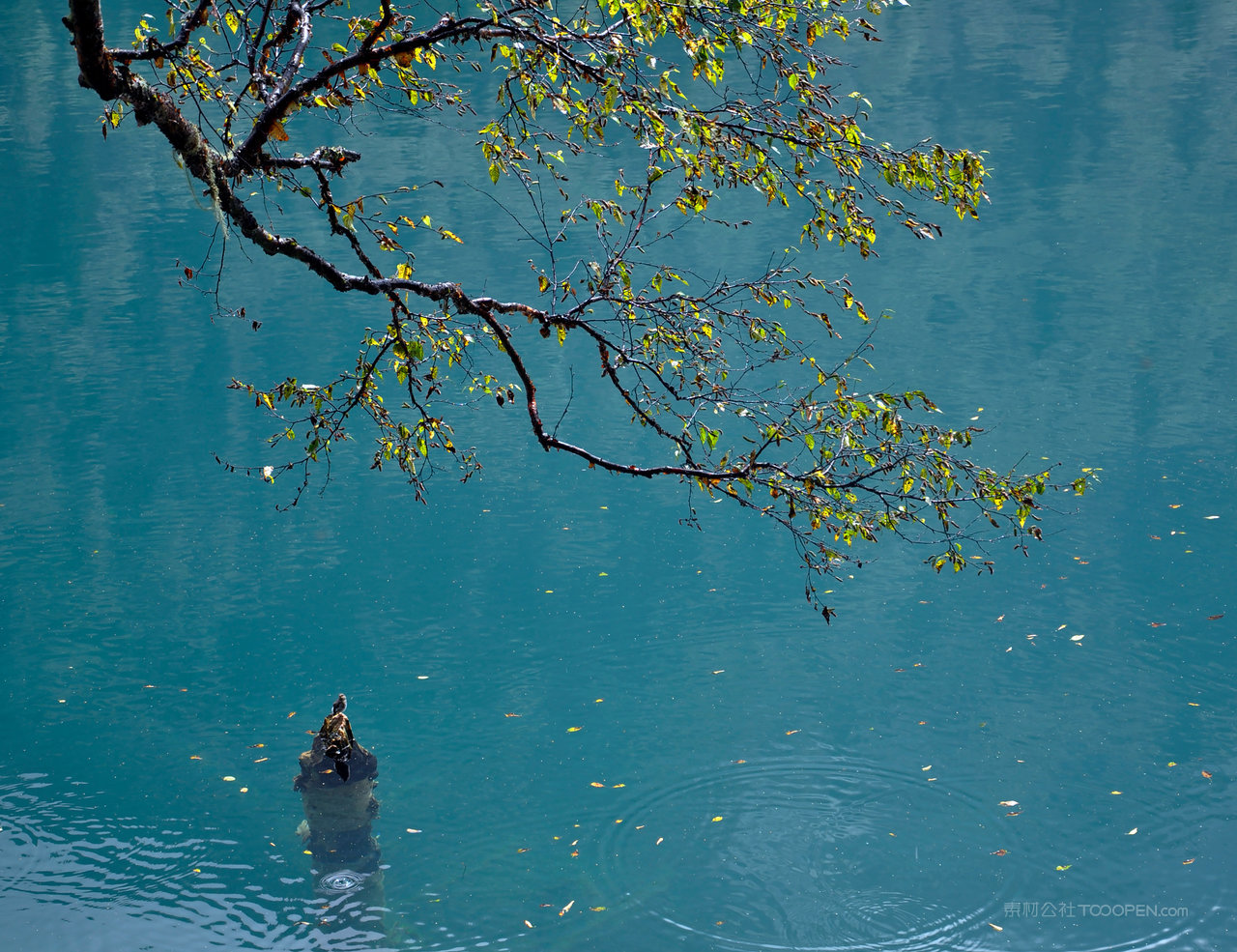 高清四川九寨沟图片素材